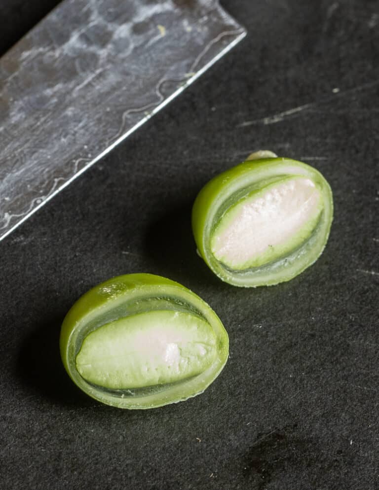 Foraging and Cooking Green Kentucky Coffee Beans