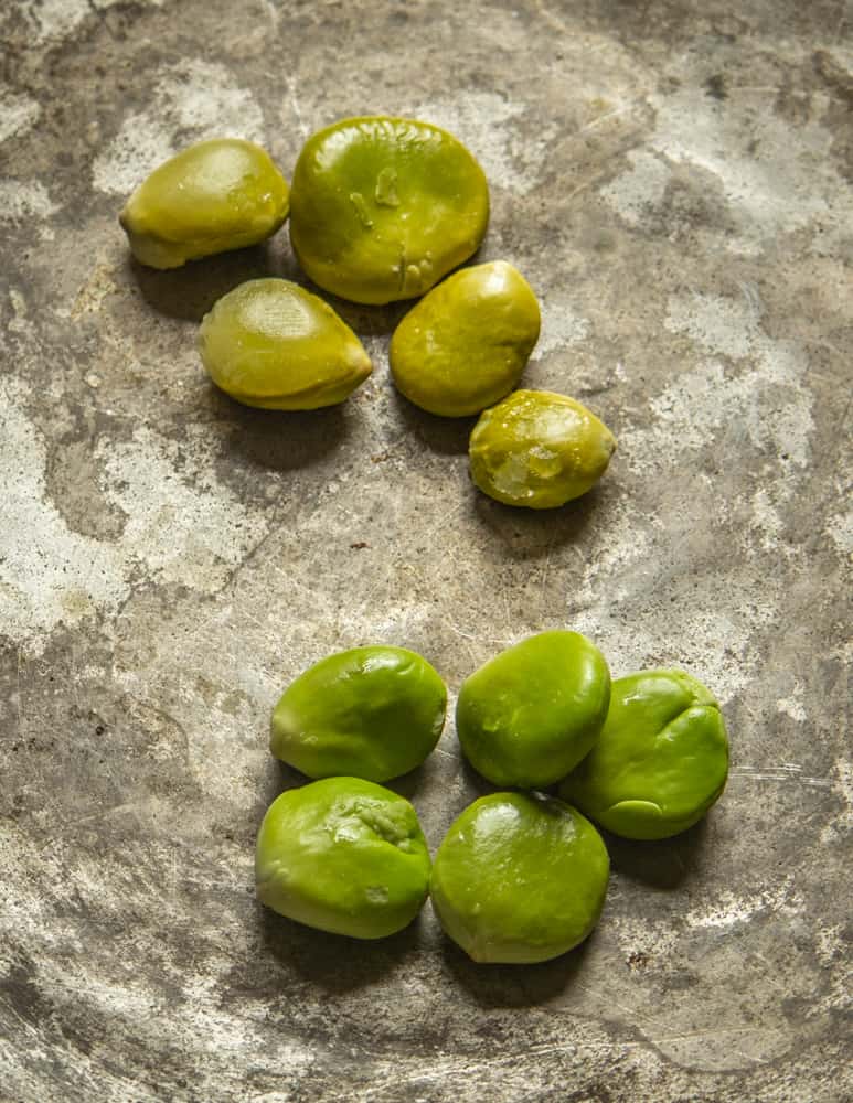 Green or unripe Kentucky coffee beans cooked for two different lengths of time 