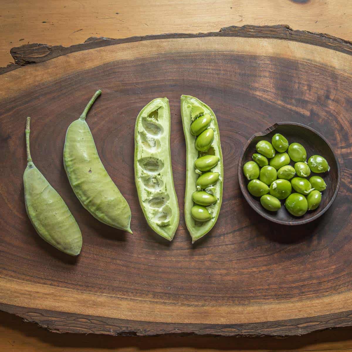 Green Kentucky coffee beans (14)