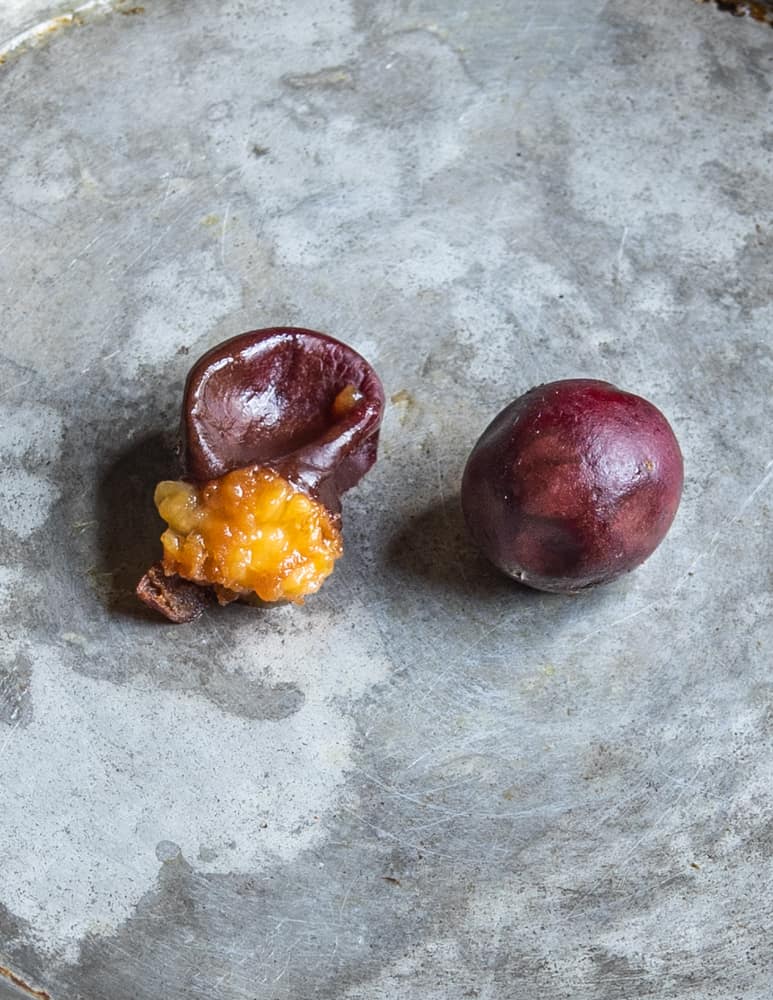 Ripe wild American plums