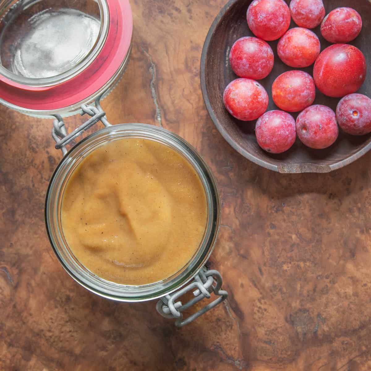 Wild plum ketchup recipe