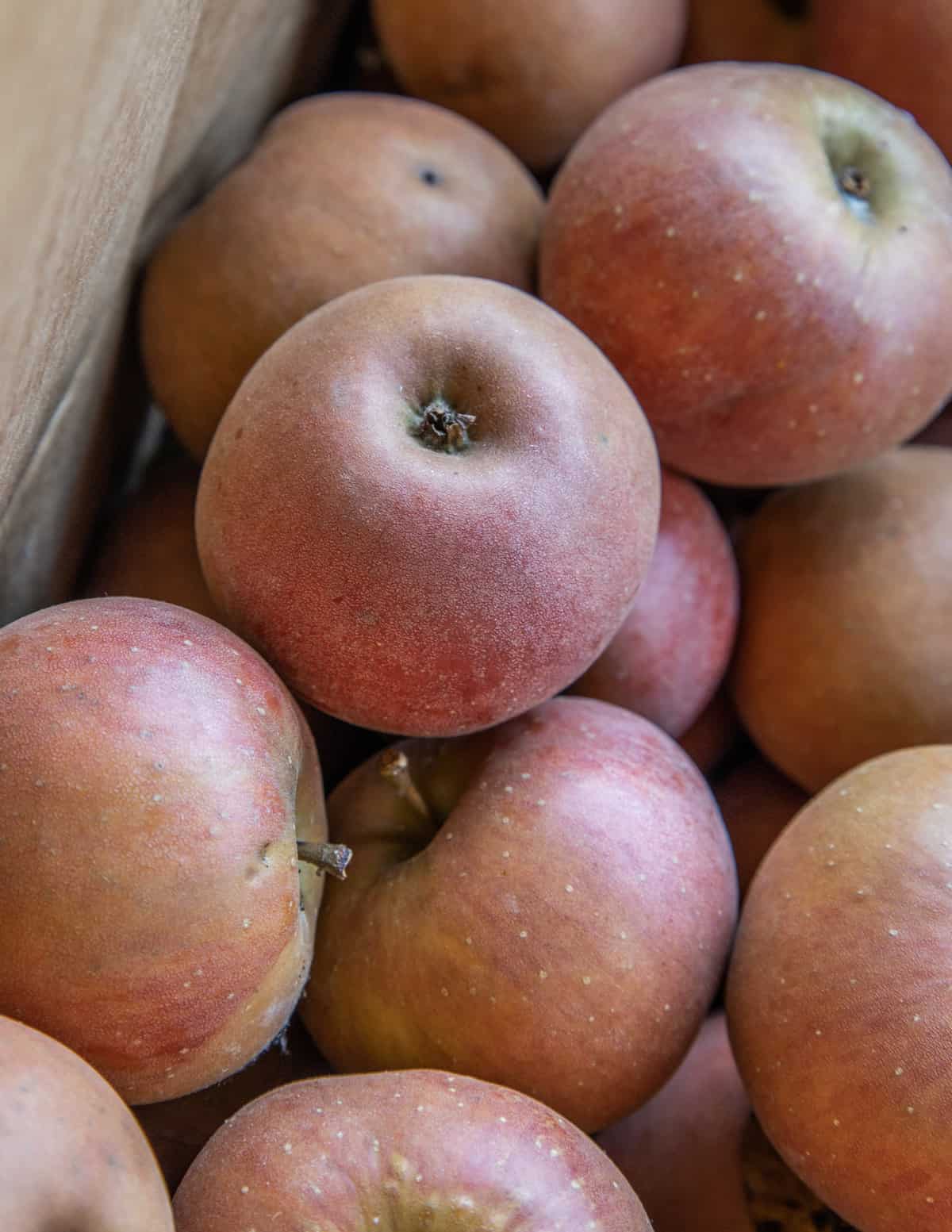 Heirloom russeted apples