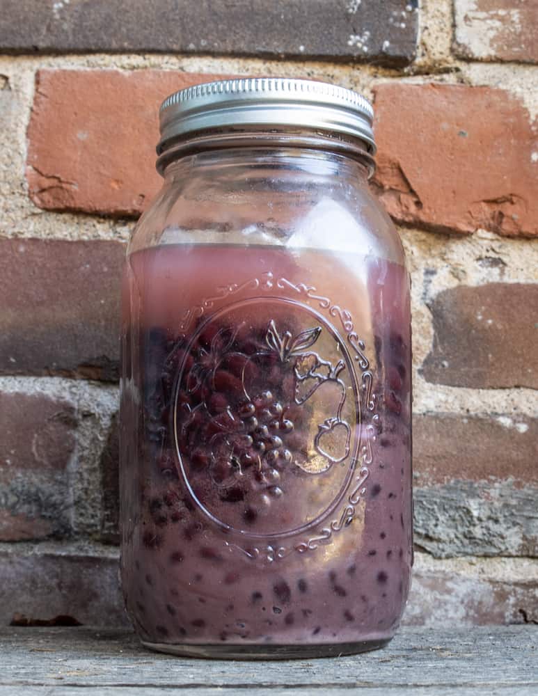 Lacto-fermented black beans 