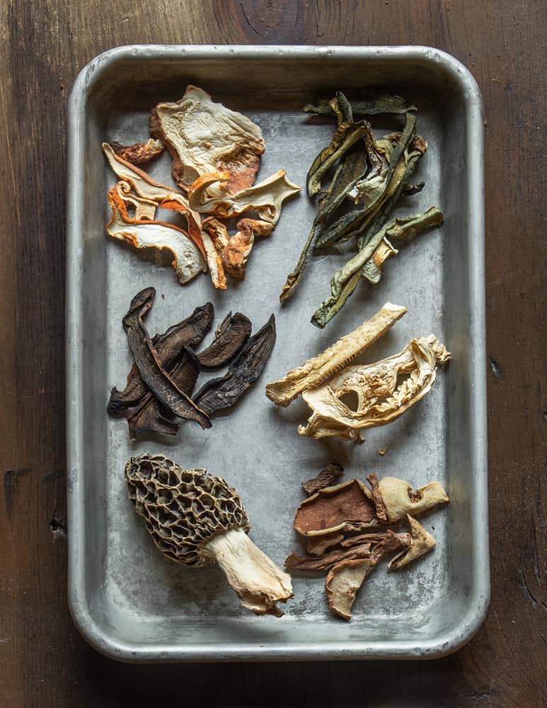 Dried Lobster, Gyroporus cyanescens, Russula parovirescens, Gyroporus castaneus, morel, and Leccinum mushrooms