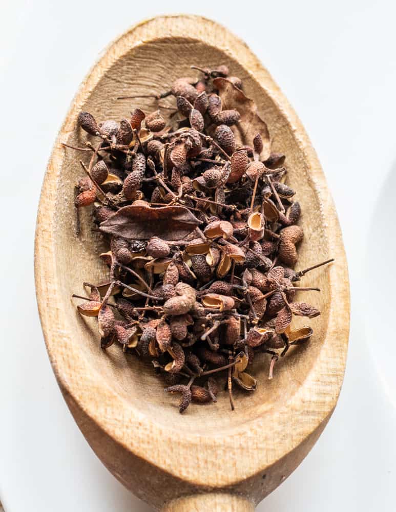 Dried wild Szechuan peppercorns or Xanthoxylum americanum 