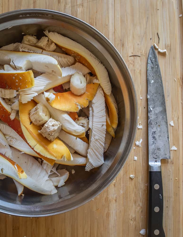 Cutting up Amanita muscaria guessowii for boiling before eating