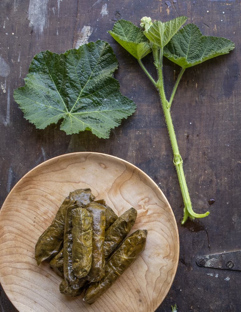 Vegetarian hollyhock leaf dolmas