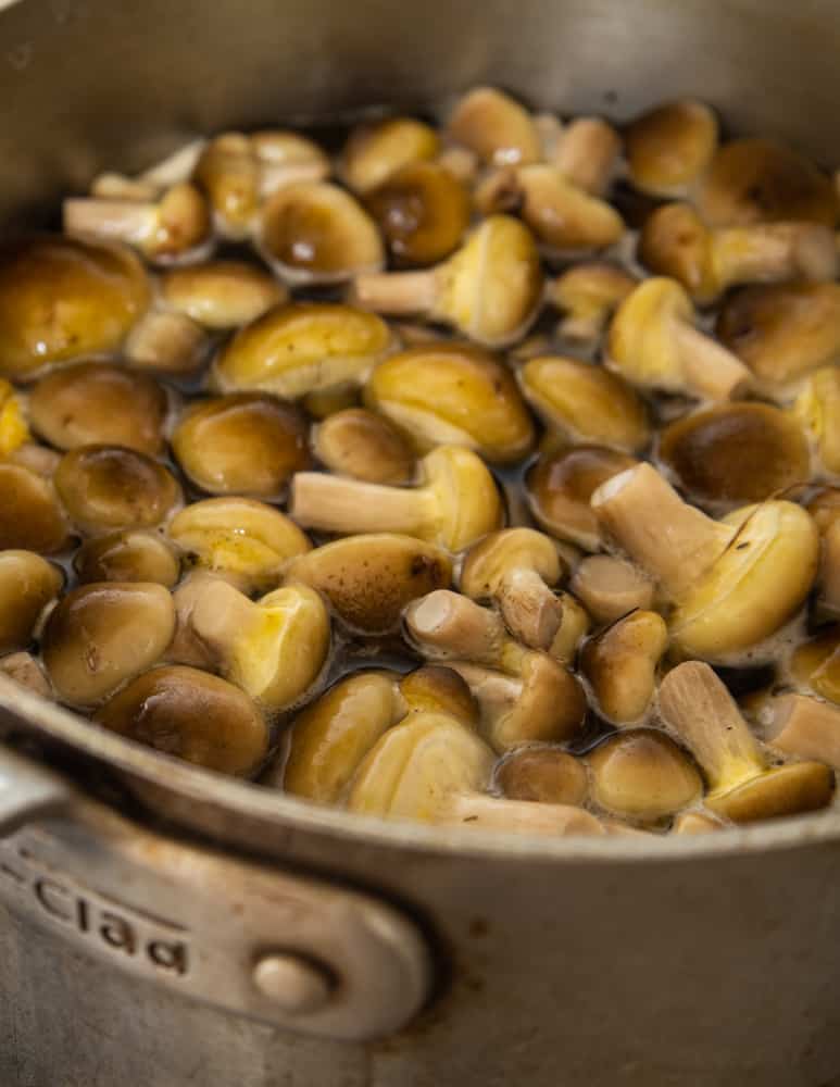 Boiling honey mushrooms 