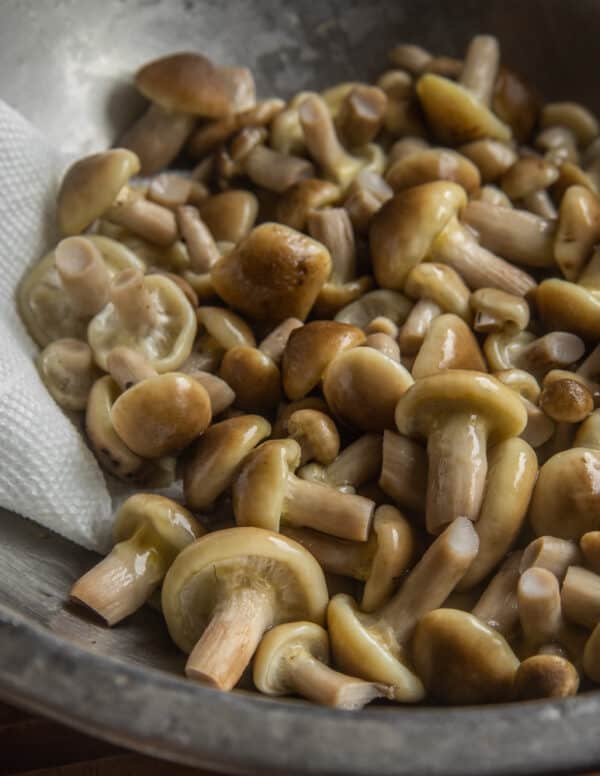 The Best Marinated Honey Mushrooms Forager Chef