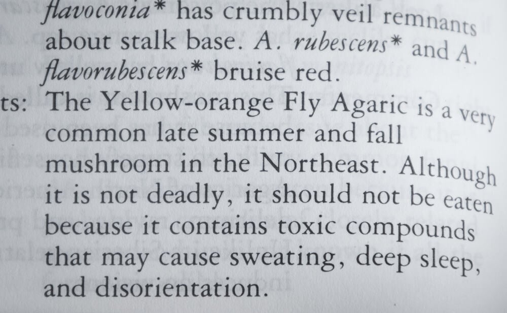 Description of Amanita muscaria in a field guide as being poisonous