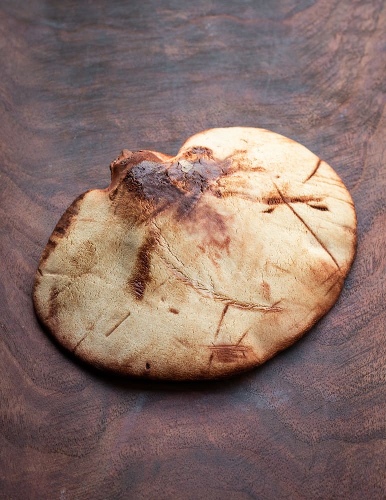 Young beefsteak mushroom or Fistulina hepatica