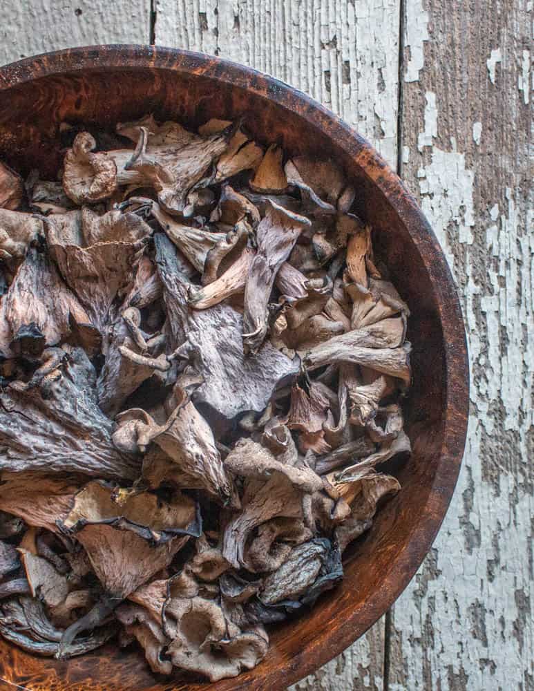 Fresh wild black trumpet mushrooms 