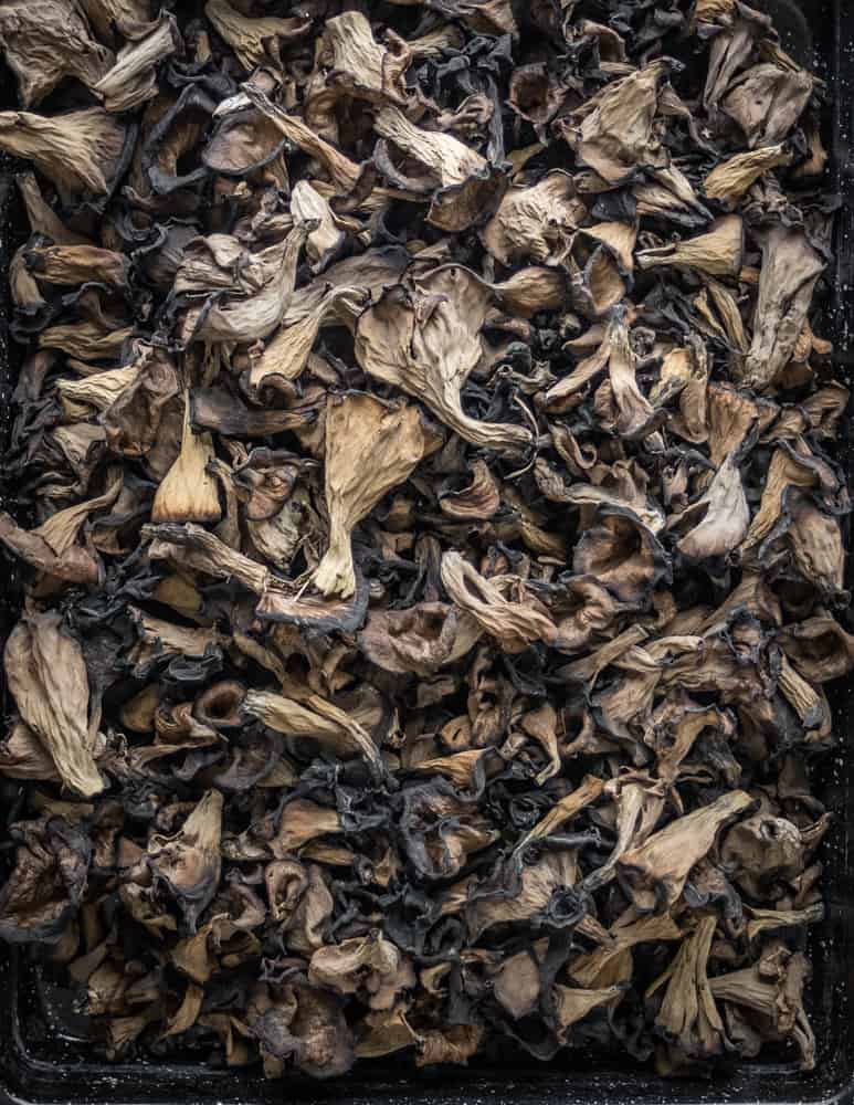Dried black trumpet mushrooms or Craterellus fallax 