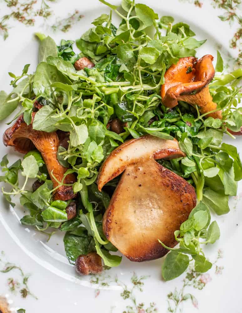 Sauteed porcini and chanterelles with Chickweed