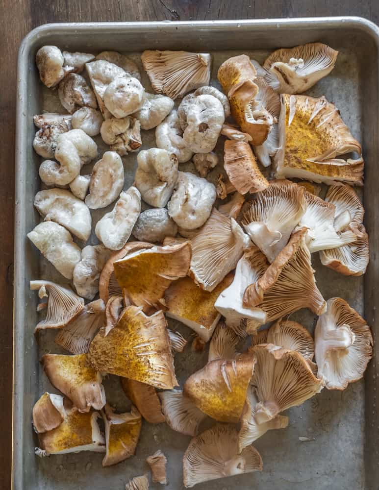 Fresh honey and aborted entoloma mushrooms