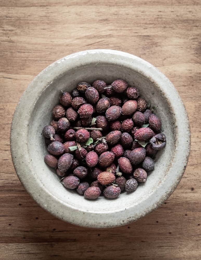 Foraged Spicebush berries 