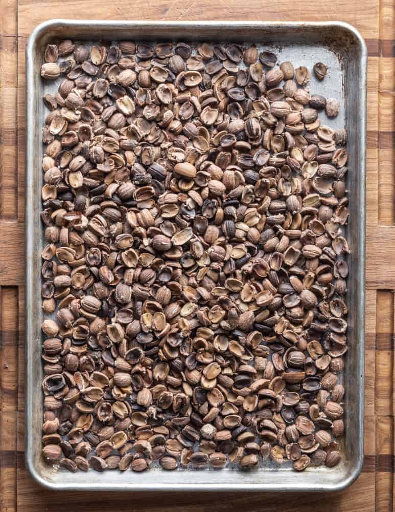 dried, shelled foraged acorns on a sheet tray