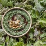 Foraged stinging nettle and pumpkinseed pesto