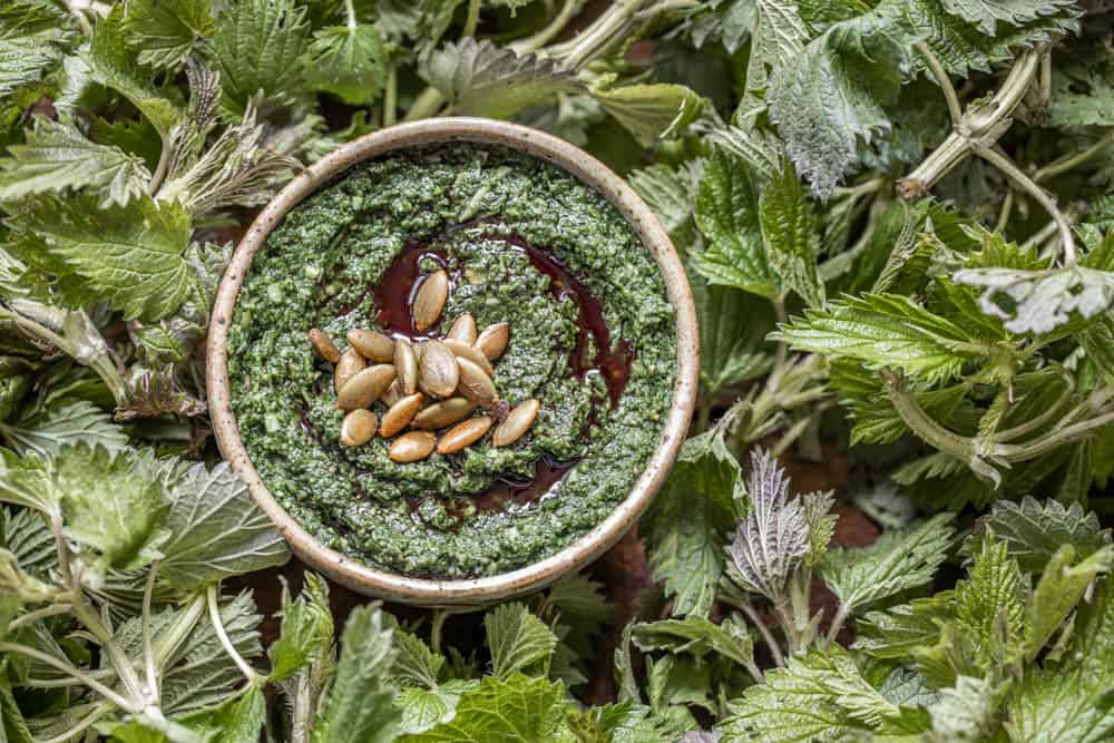 Foraged stinging nettle and pumpkinseed pesto