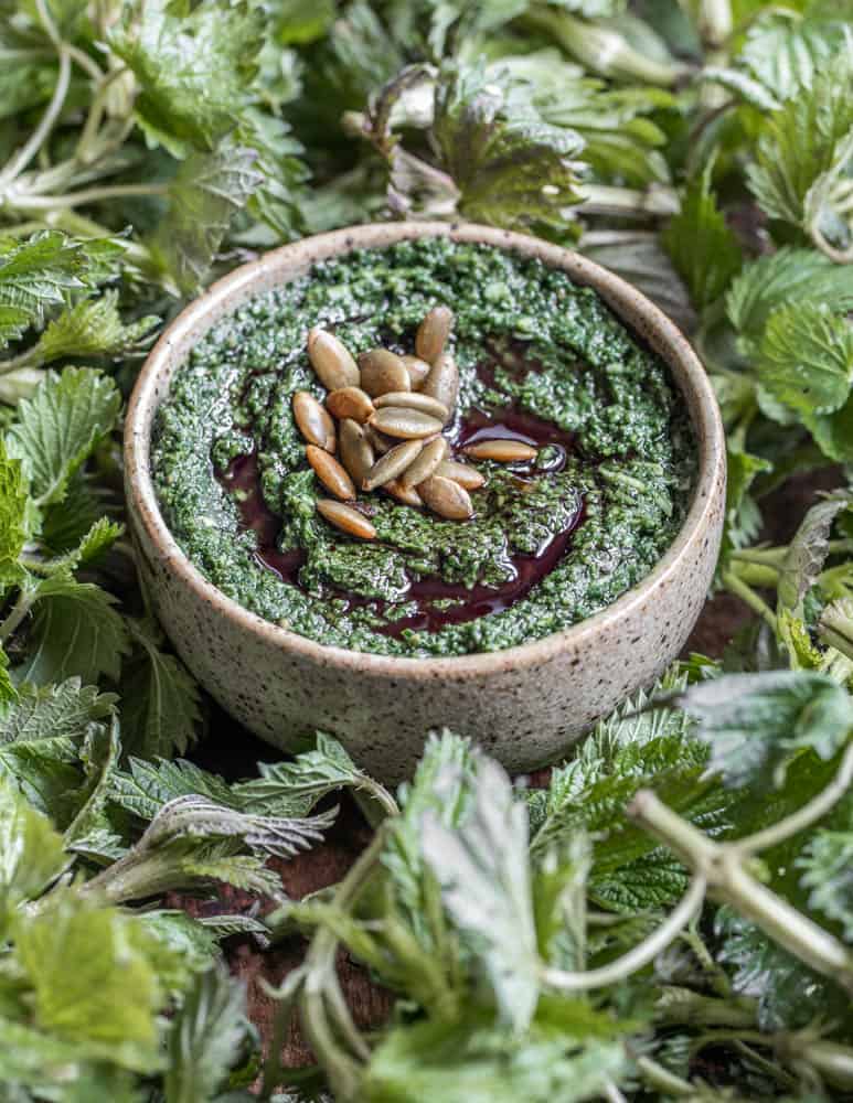 Foraged stinging nettle and pumpkinseed pesto