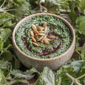 Foraged stinging nettle and pumpkinseed pesto