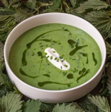 Classic Stinging Nettle Soup or nasselsopa