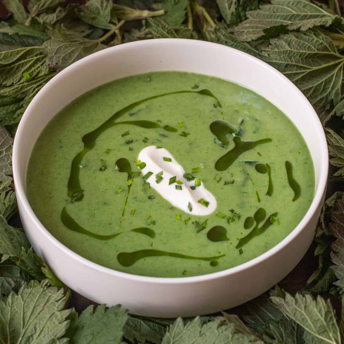 Classic Stinging Nettle Soup 