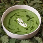 Traditional Stinging Nettle Soup or nasselsoppa
