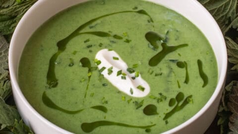 Classic Stinging Nettle Soup