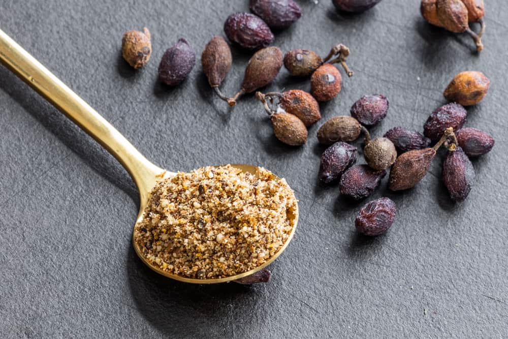 Ground spicebush berries