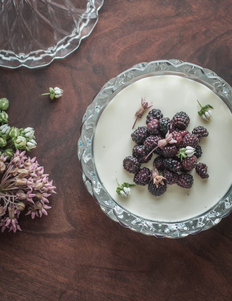 Sweet woodruff panna cotta with blackcap raspberries 