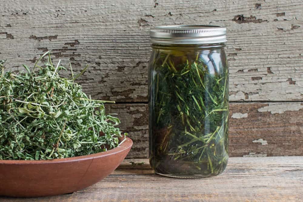 Infusing liquor with Galium triflorum