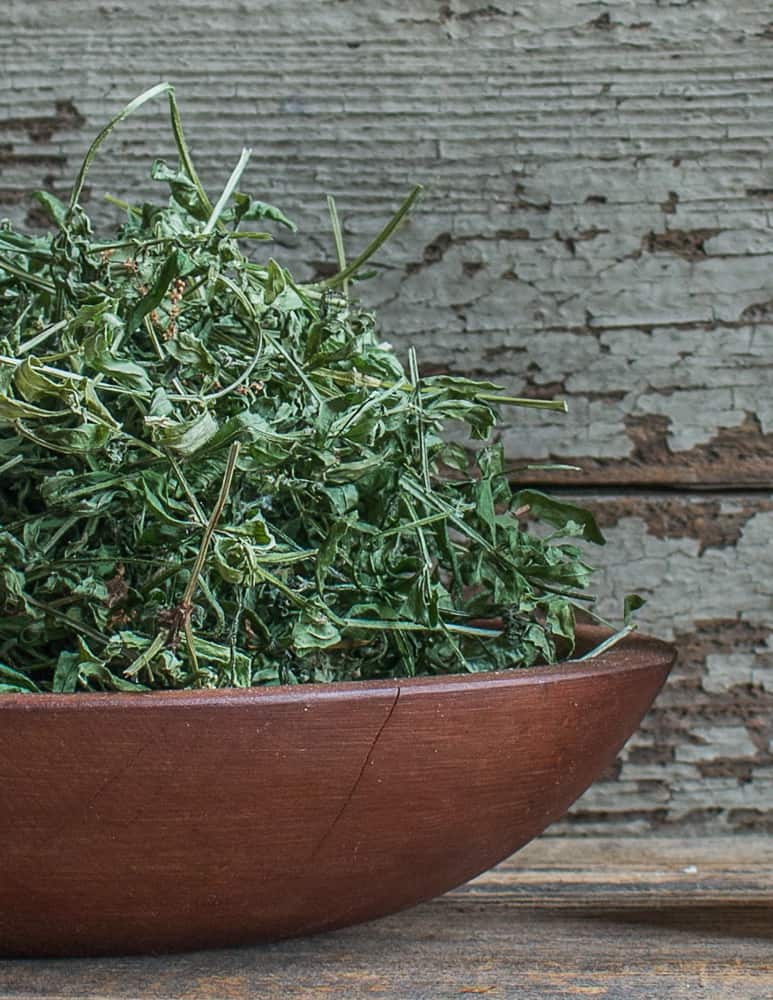 Dried galium triflorum