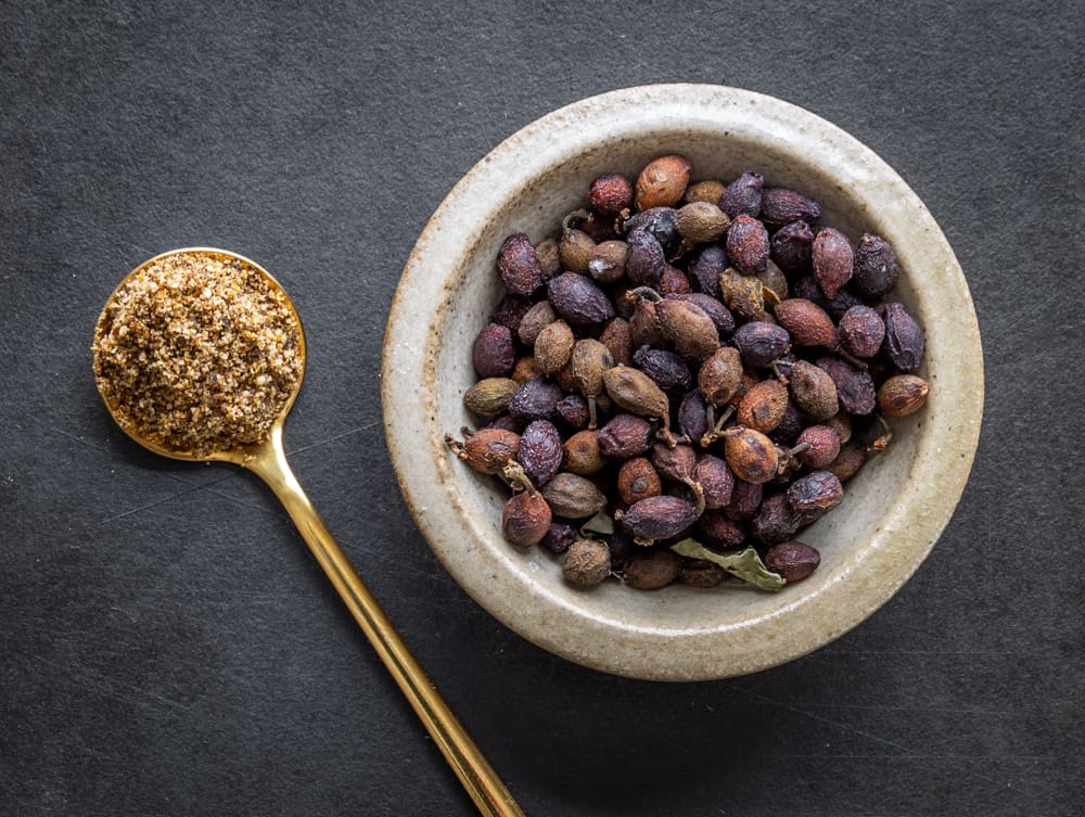 Ground spicebush berries