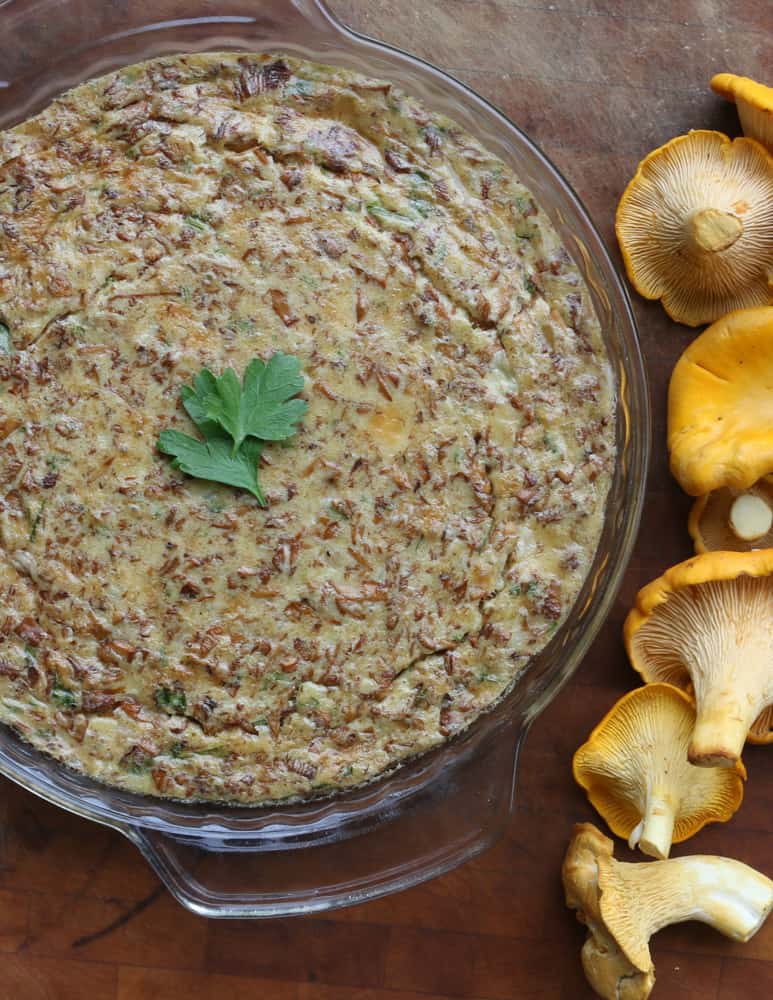 Cooked chanterelle mushroom pudding with fresh mushrooms on the side as a decoration 