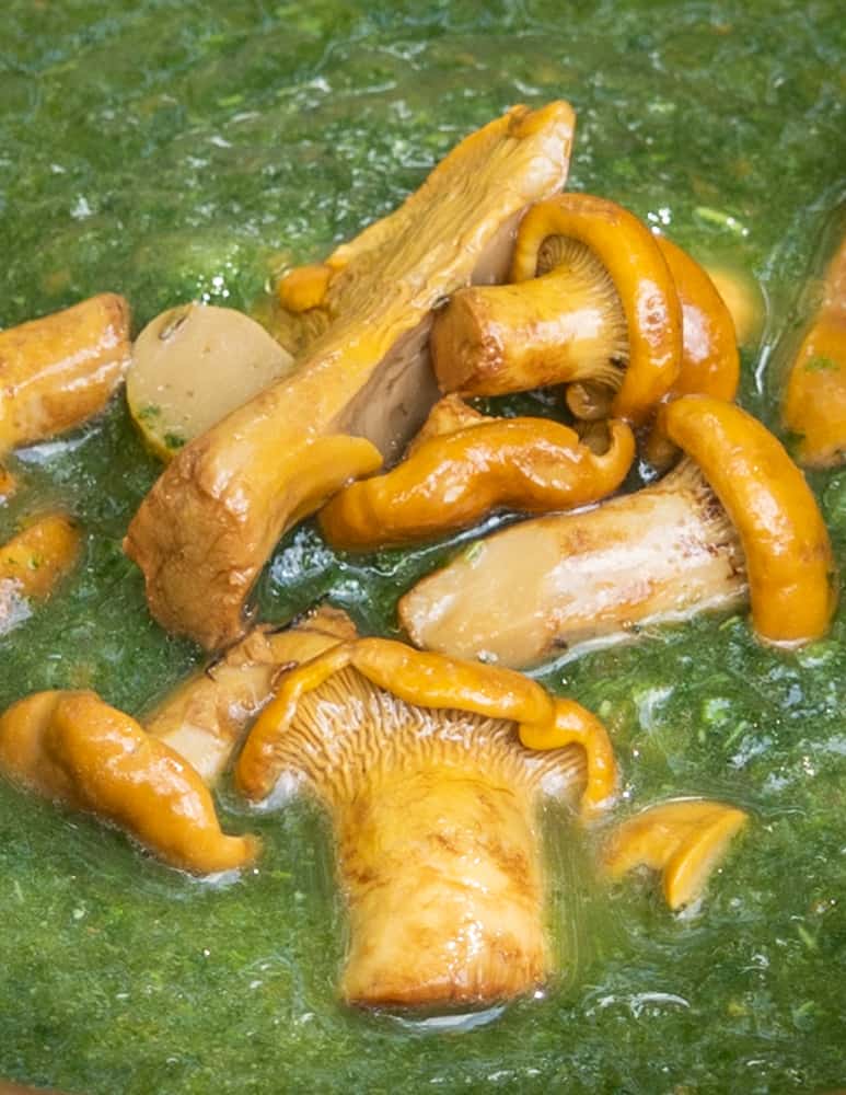 a close up of pickled chanterelle mushrooms in green soup 