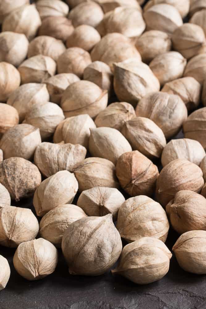 Shagbark hickory nuts