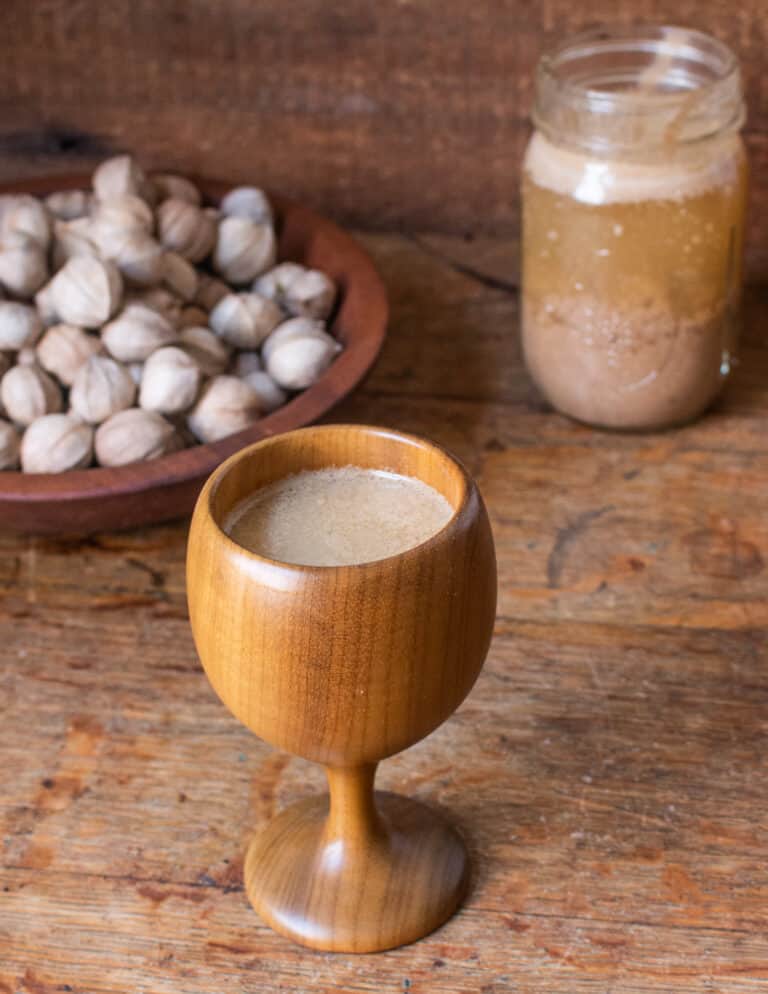 Shagbark Hickory Nuts Harvesting, Cracking and Cooking