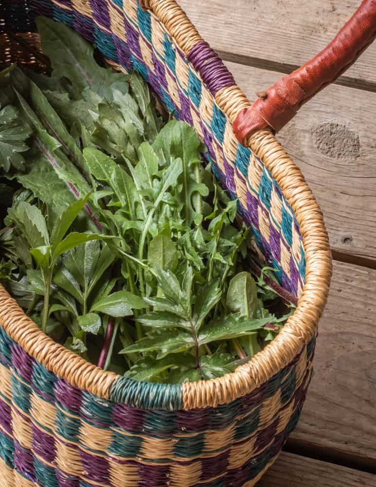 A mix of dandelions and other edible wild greens for horta