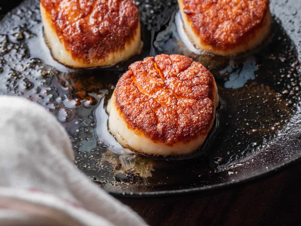 Searing scallops in a carbon steel pan