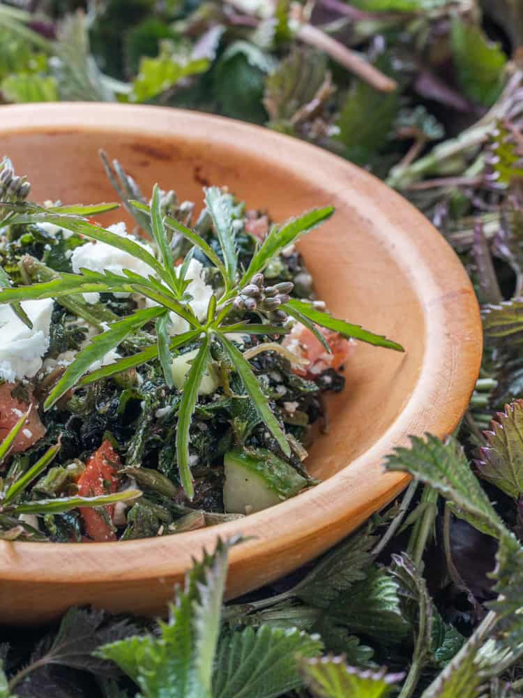 turkish nettle salad or isirgan salatasi