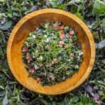Isirgan salatasi: Turkish raw nettle salad in a bowl