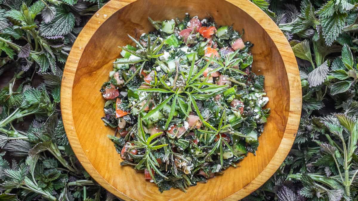 Isirgan salatasi: Turkish raw nettle salad in a bowl