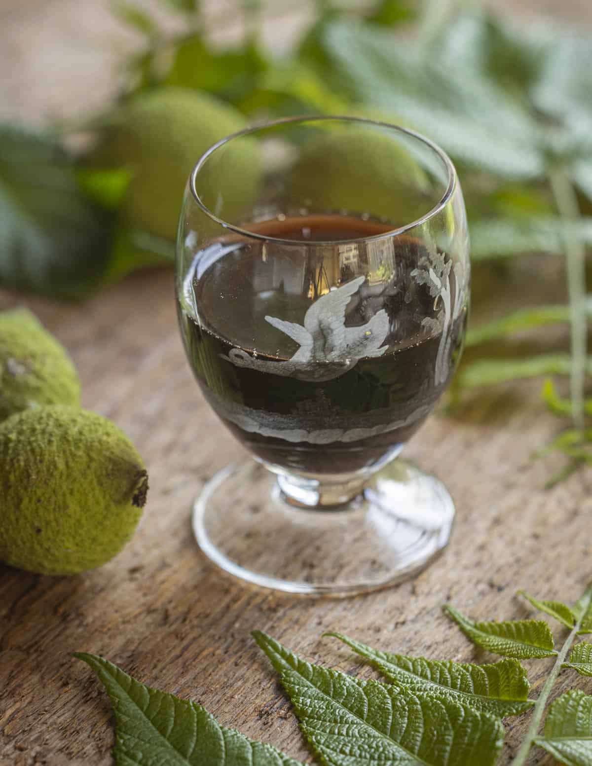 A glass of black walnut wine next to unripe green walnuts and fresh black walnut leaves. 