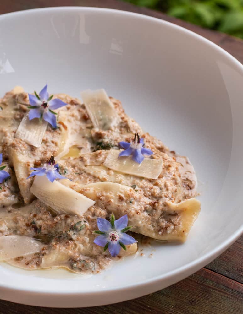 Ligurian pansotti of foraged greens with walnut sauce and borage flowers 