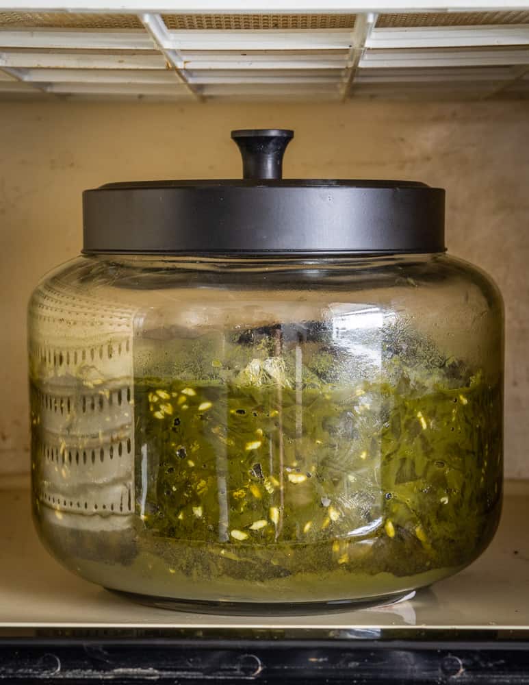 Ramp leaves, koji rice, salt and water in a jar in a dehydrator