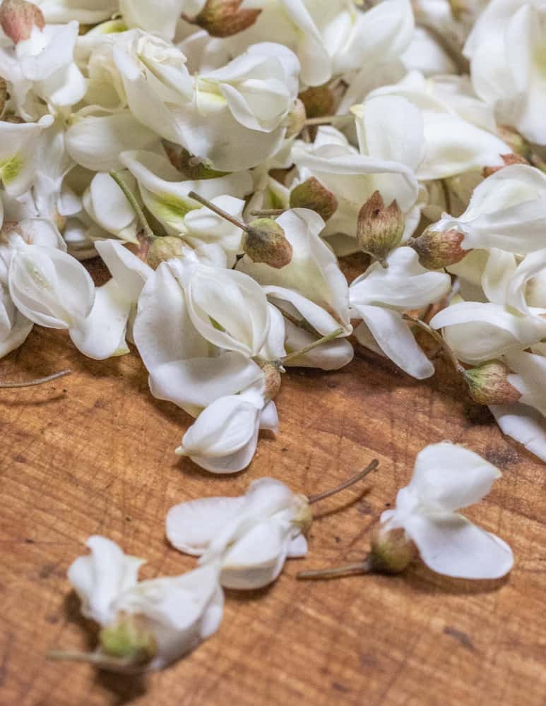 close up of black locust flowers