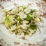 Black Locust Flower Salad (7)