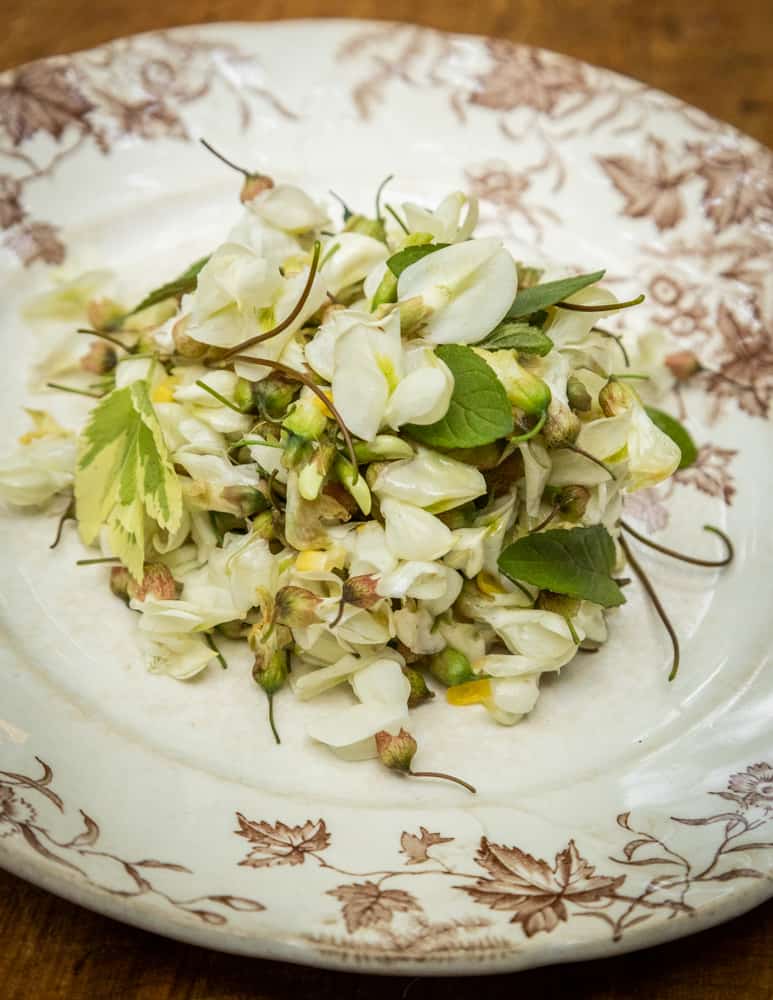 Black Locust Flower Salad (7)