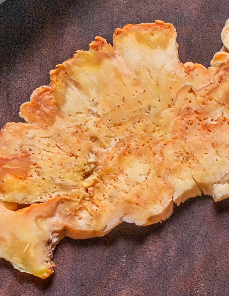 Bug holes in a chicken mushroom 